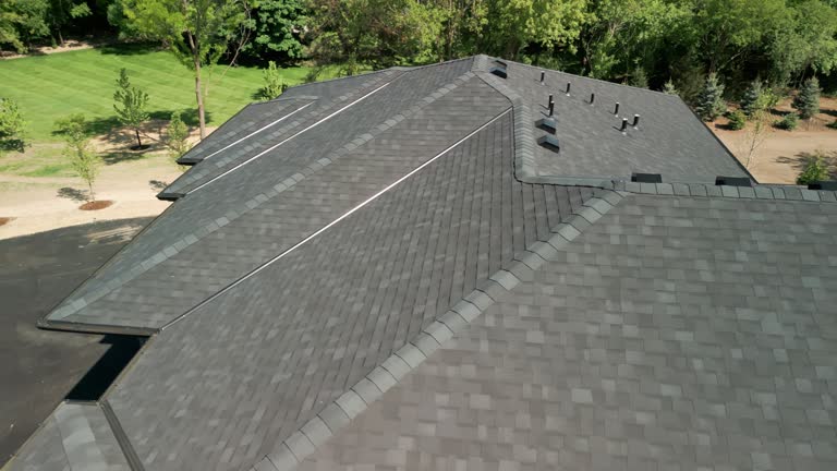 Best Roof Moss and Algae Removal  in Garden City, MI