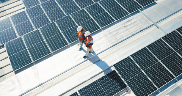 Best Roof Moss and Algae Removal  in Garden City, MI